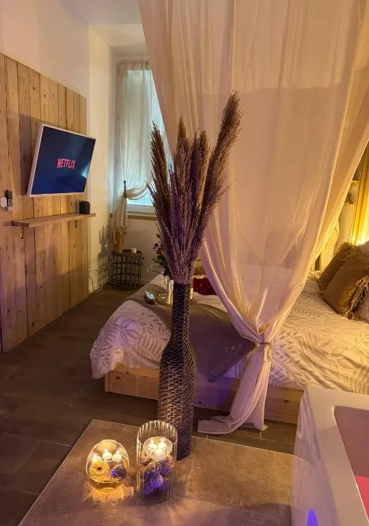 L'Idylle de la Bastide - Appartement climatisé avec bain à remous (Carcassonne, Aude)