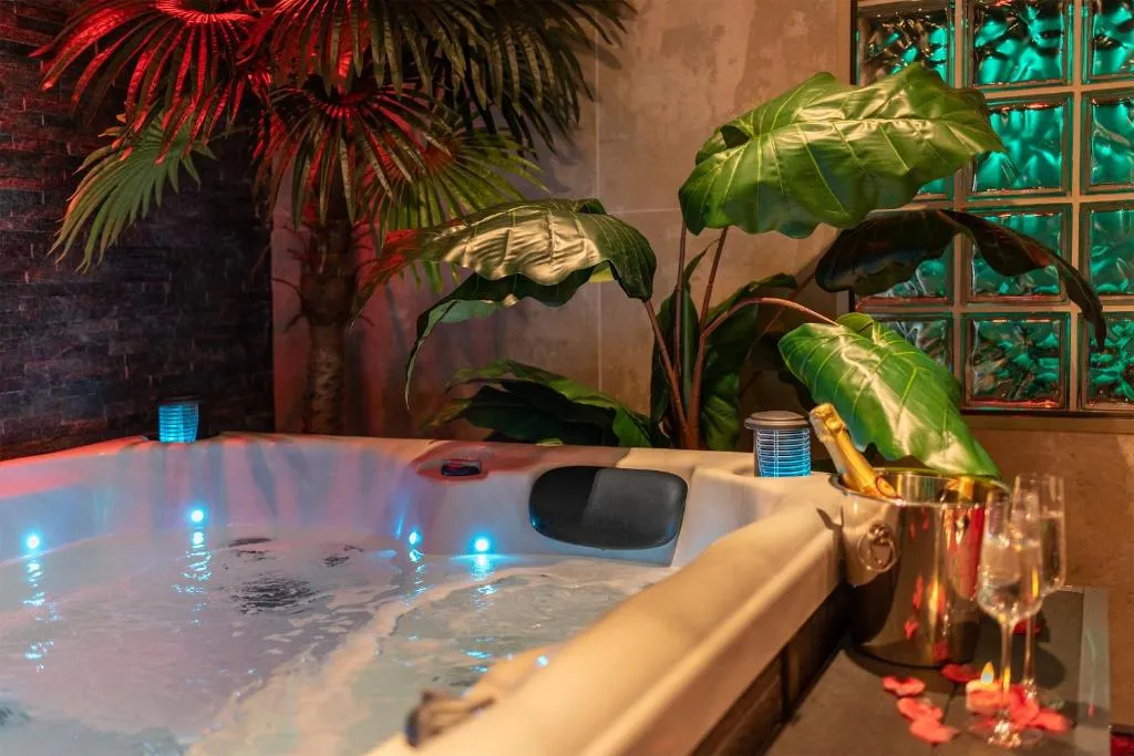 L'Insolite Spa Privatif, gîte avec spa à Toulouse - photo 3 sur 12