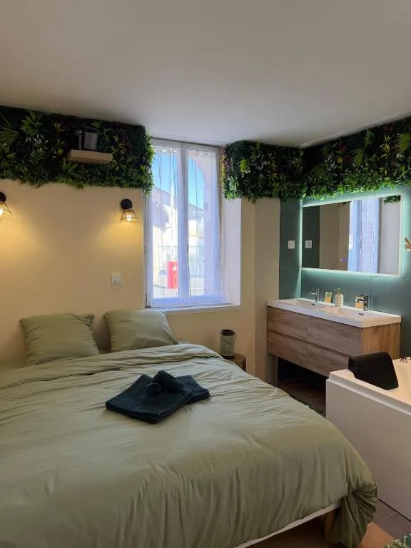 La Jungle, jacuzzi et cinéma, gîte avec spa à La Chapelle-Saint-Ursin - photo 2 sur 12