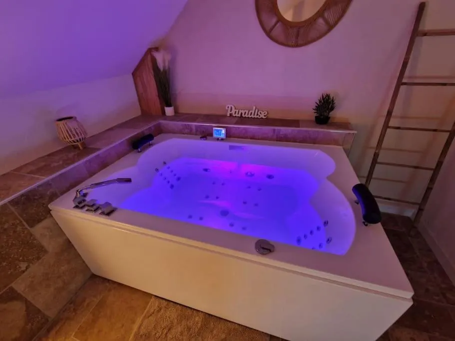 La Maison Champêtre - Maison avec bain à remous et jardin (La Saulsotte, Aube)