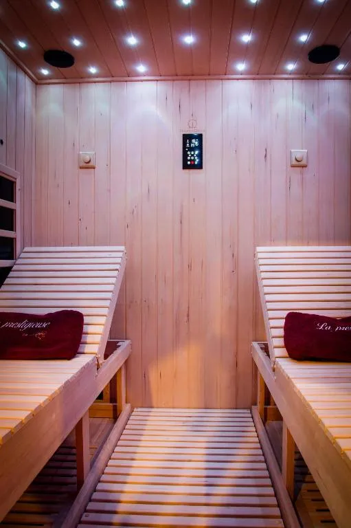 La Prestigieuse - Villa climatisée avec sauna et bain à remous (Roannes-Saint-Mary, Cantal)