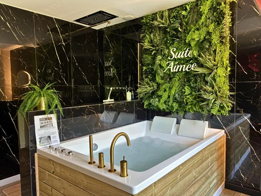 La Suite Aimée - appartement relaxant avec balnéo près des remparts (Angoulême, Charente)