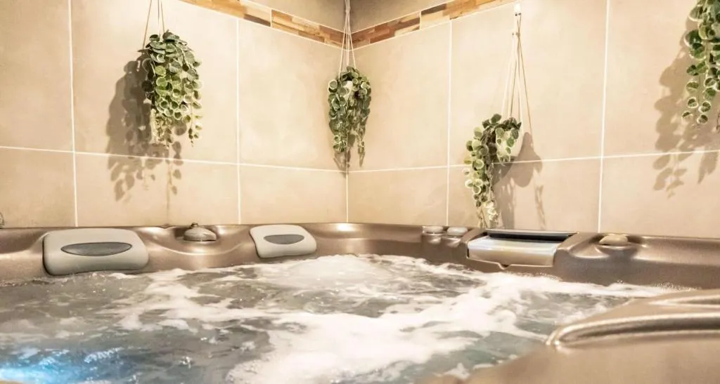 La Suite Soledad, gîte avec spa à Maraussan - photo 3 sur 11