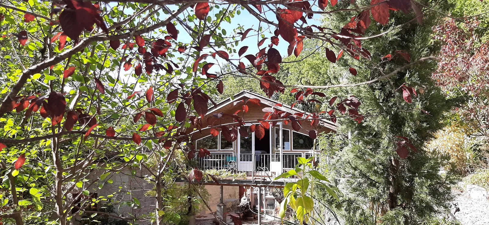 Le Chalet du Bouscaillou, gîte spa à Montaigu-de-Quercy - photo 3 sur 12
