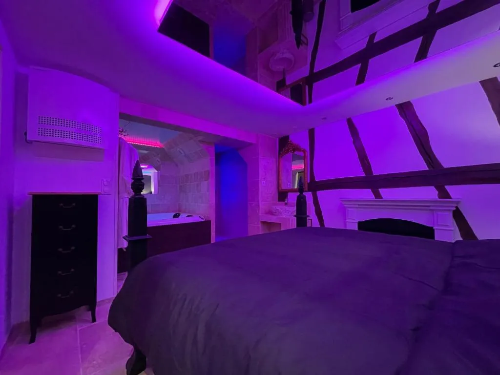 Le Jacuzzi, gîte avec spa à Rouen - photo 2 sur 12