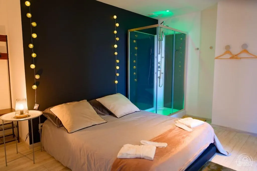 Le Loft & Garden Spa, gîte avec spa à Nancy - photo 2 sur 12