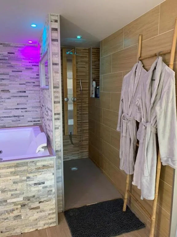 Le Menhir Jacuzzi, gîte avec spa à Le Cendre - photo 3 sur 9