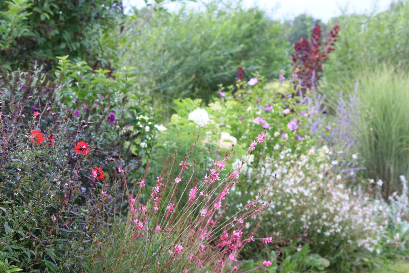 Le Petit Gîte dans notre Jardin, gîte spa à Bonchamp-lès-Laval - photo 3 sur 12