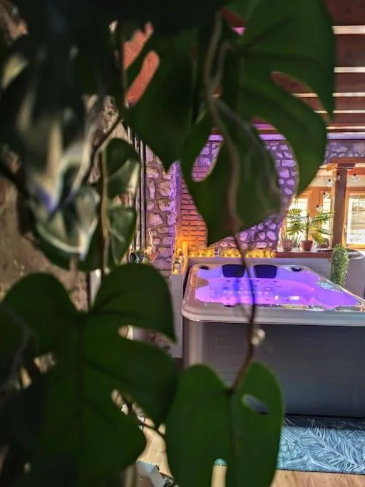 Le Petit Paradis - Sauna, bain à remous et terrasse en maison de vacances (Bouafles, Eure)