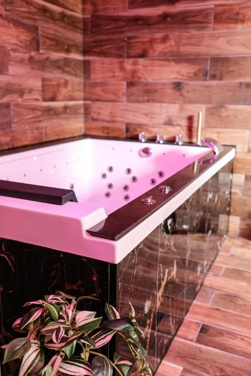 Le Premium, gîte avec spa à Pontavert - photo 3 sur 11