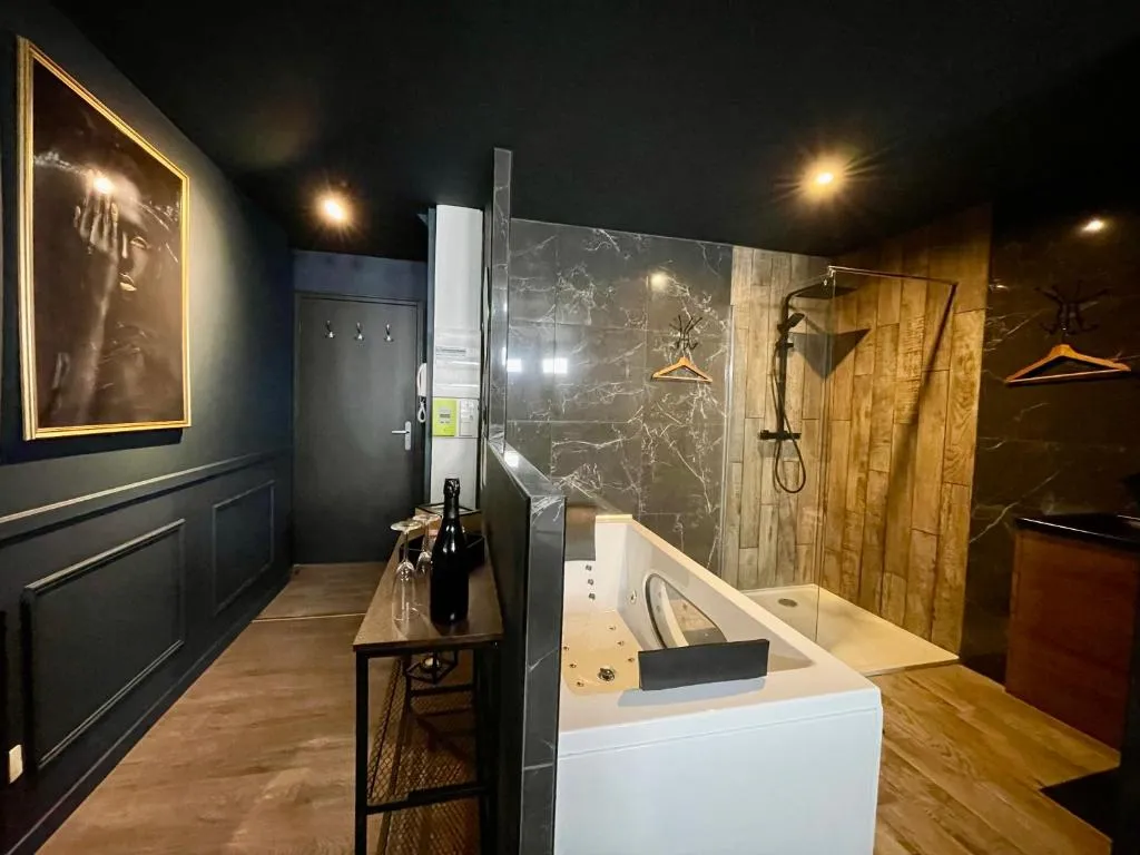 Le Saphir Balnéo, gîte avec spa à Albi - photo 3 sur 12