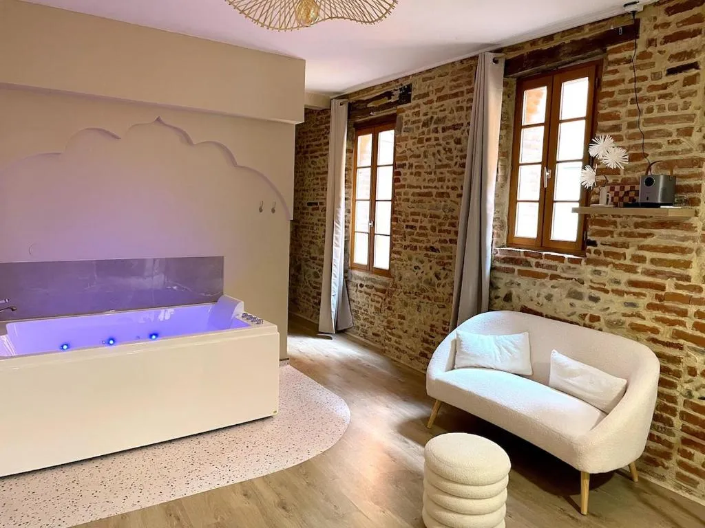 Les 1001 Nuits d'Albi - appartement climatisé avec bain à remous (Albi, Tarn)