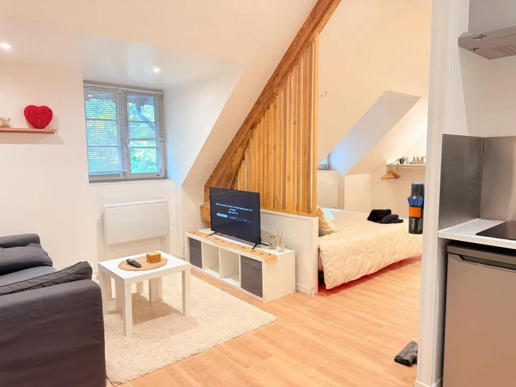 Lodge Jacuzzi de Châtel-Guyon, gîte avec spa à Châtel-Guyon - photo 3 sur 12