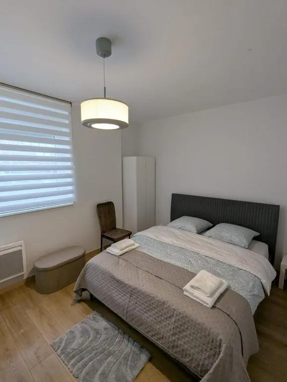 Loft balnéo de Geispolsheim, gîte avec spa à Geispolsheim - photo 2 sur 12
