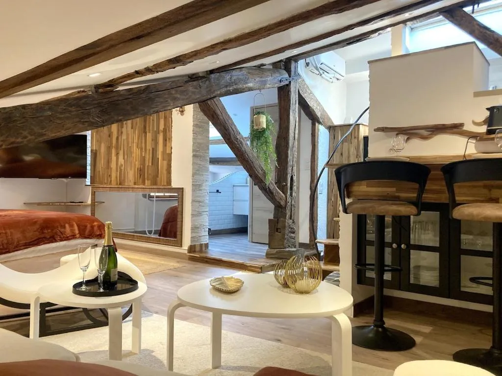 Loft balnéo de Riom, gîte avec spa à Riom - photo 2 sur 10