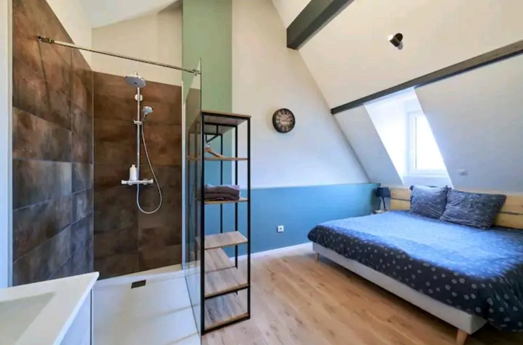 Loft de la place Haslinger, gîte avec spa à Colmar - photo 2 sur 11
