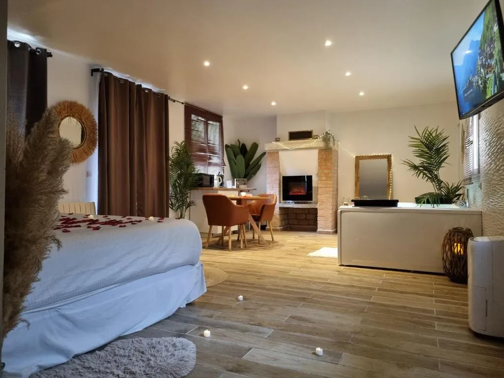 Loft Jacuzzi et Jardin, gîte avec spa à Saint-Prix - photo 3 sur 11