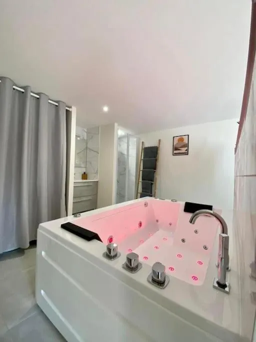 Loft Jardin et Spa, gîte avec spa à Bressuire - photo 3 sur 12