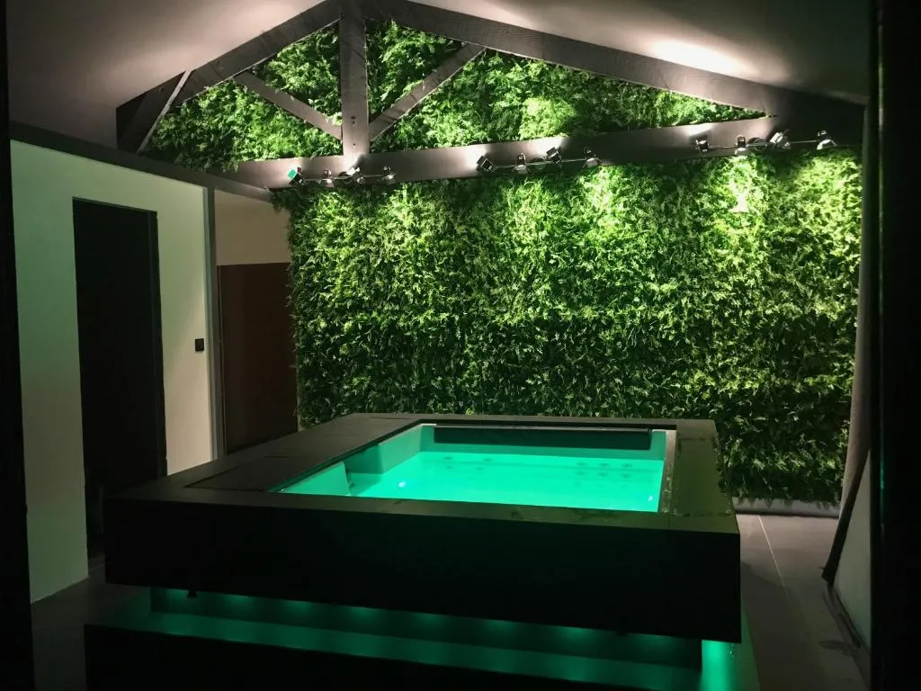 Loft Piscine et Spa Provence - Appartement avec jardin et deux bains à remous (L'Isle-sur-la-Sorgue, Vaucluse)