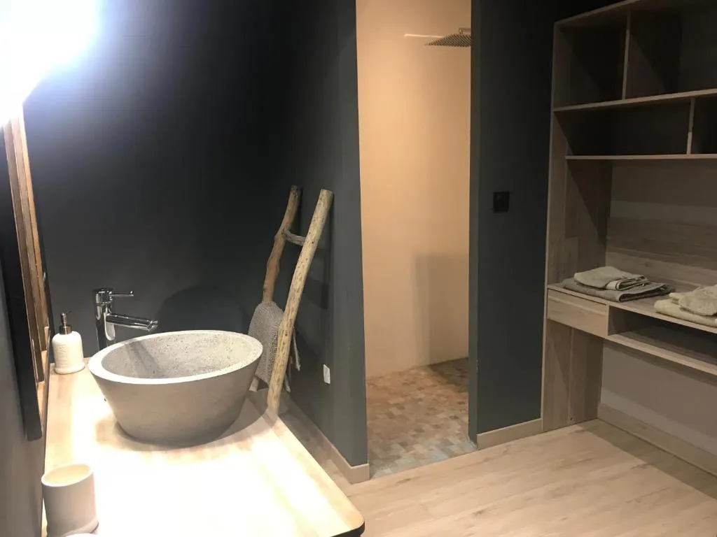 Loft Piscine et Spa Provence, gîte avec spa à L'Isle-sur-la-Sorgue - photo 3 sur 12