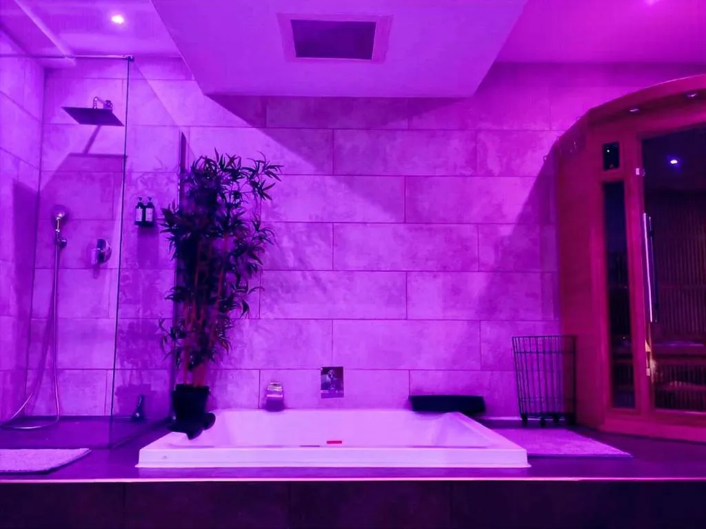 Loft spa de Dijon, gîte avec spa à Dijon - photo 3 sur 12