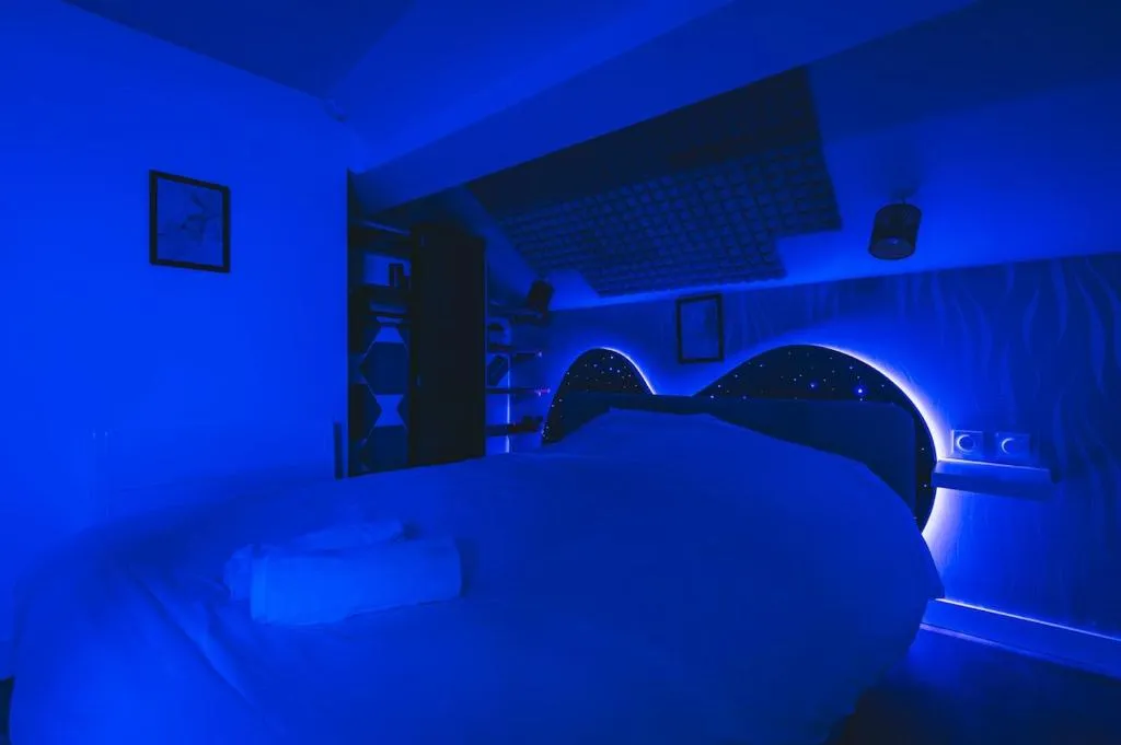 Loft Spa de Reims, gîte avec spa à Reims - photo 2 sur 12