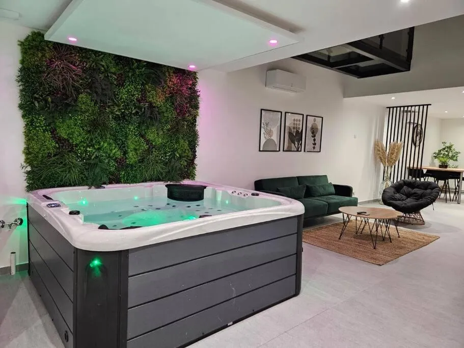 Loft Spa des Ducs 2 - Loft climatisé avec bain à remous et balcon (Bar-le-Duc, Meuse)