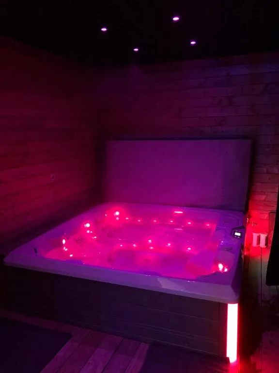 Loft Spa et Piscine, gîte avec spa à Bruz - photo 3 sur 12