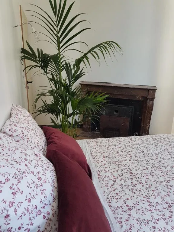 Loft Zen, gîte avec spa à Rouen - photo 2 sur 12