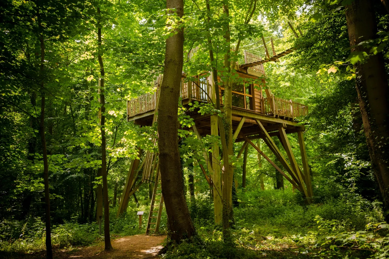 Lov'Nid Spa, cabane à Raray - photo 2 sur 9