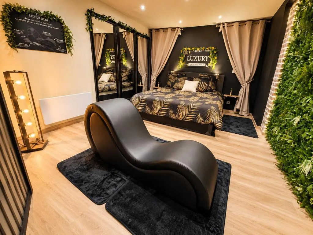 Luxury Loft Vendôme, gîte avec spa à Vendôme - photo 3 sur 10