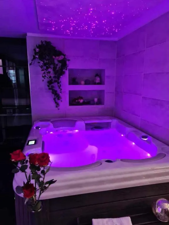 Ma nuit ô spA, gîte avec spa à Reims - photo 3 sur 11