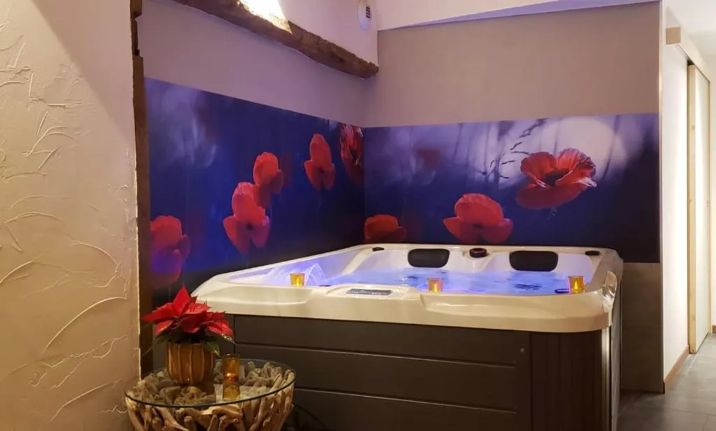 Maison campagne sauna et jacuzzi, gîte avec spa à Les Portes du Coglais - photo 3 sur 11