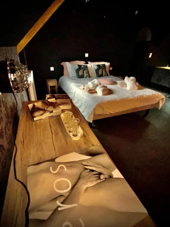 Maison de la Plage de Roc'h Hir, gîte avec spa à Ploubazlanec - photo 2 sur 12