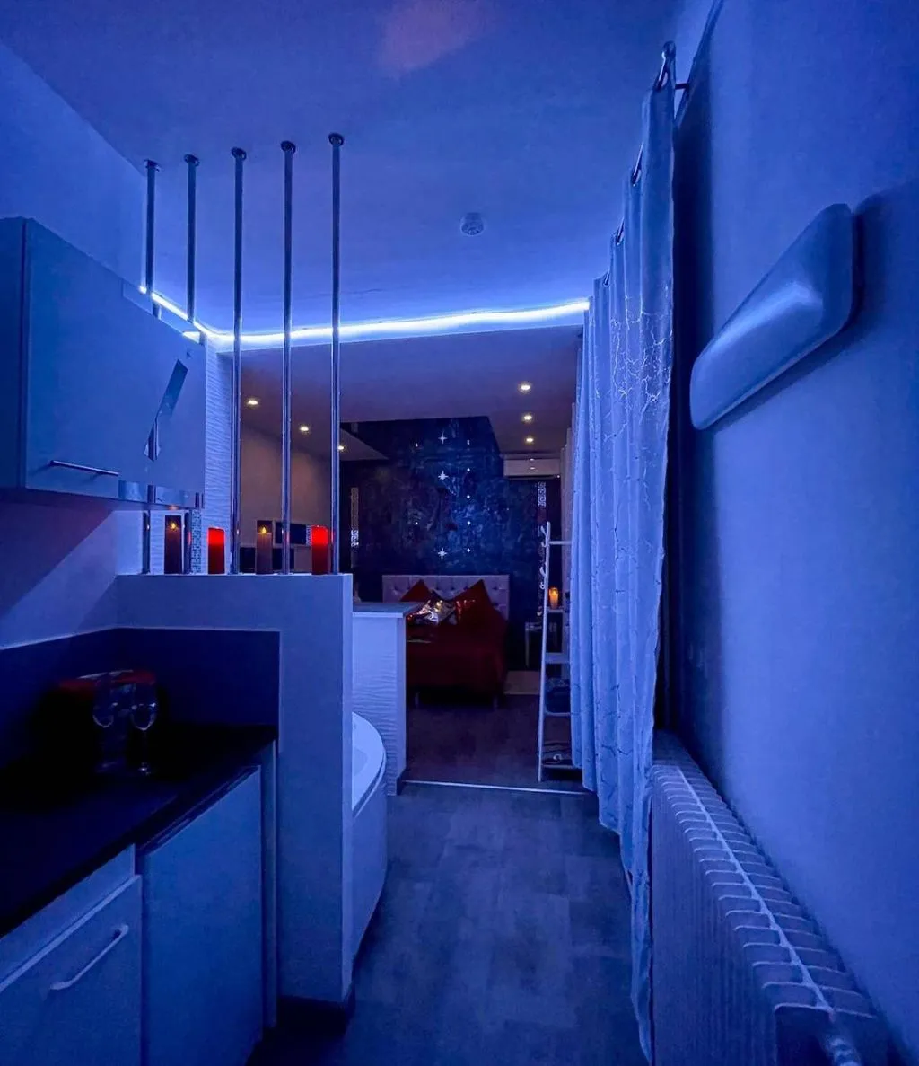 Maison de Monplaisir, gîte avec spa à Villeurbanne - photo 3 sur 12