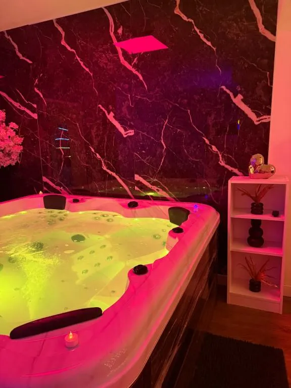Maison Dream Spa, gîte avec spa à Portet-sur-Garonne - photo 3 sur 12