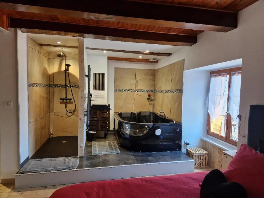 Maison Jacuzzi de Saurier, gîte avec spa à Saurier - photo 3 sur 11
