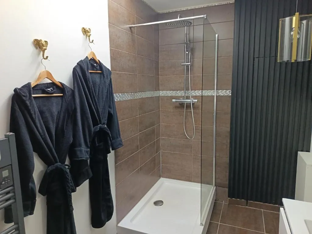Maison Jacuzzi Extérieur, gîte avec spa à Rosières-près-Troyes - photo 3 sur 12