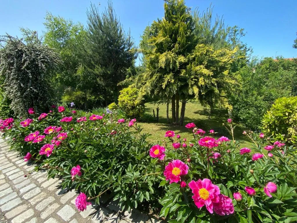 Maison La Loupiote, gîte avec spa à Lupcourt - photo 3 sur 12