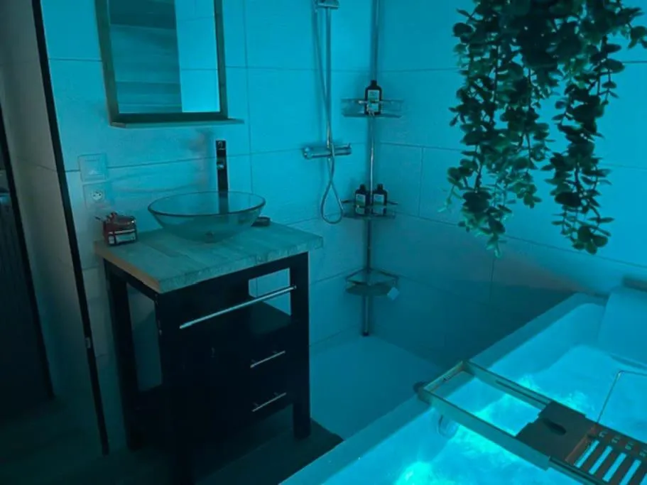 Maison Sauna de Flers, gîte avec spa à Saint-Clair-de-Halouze - photo 2 sur 12
