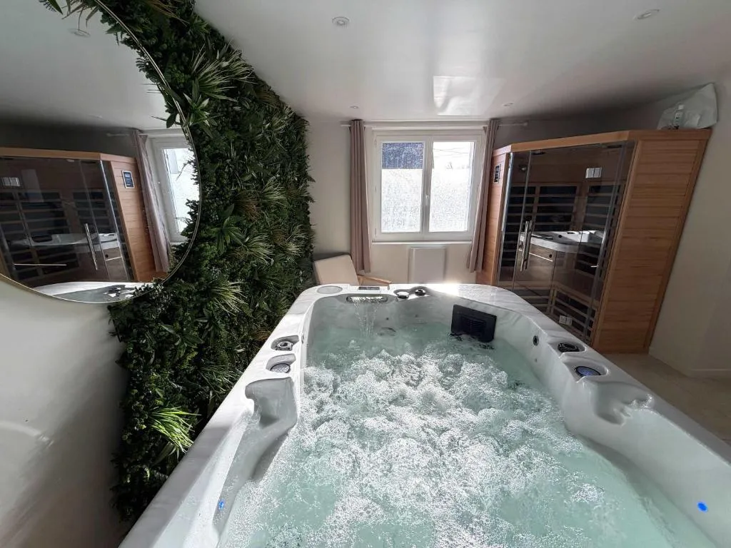 Maison spa et sauna de La Gacilly, love room à La Gacilly - photo 3 sur 12