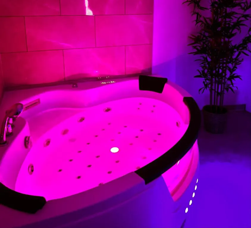 Modern Spa Cosy et Chic - Appartement avec bain à remous (Brunoy, Essonne)