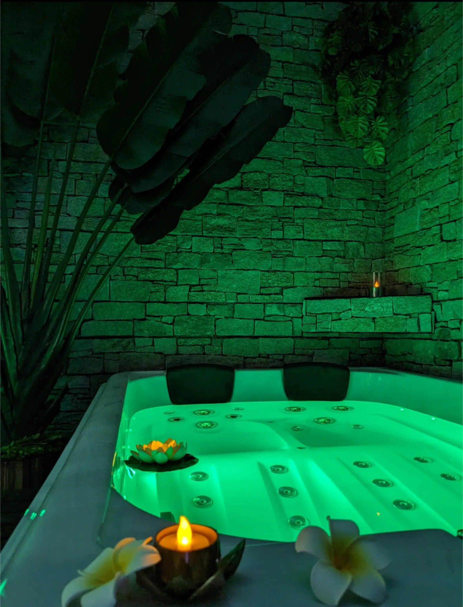 Nuit insolite avec Spa, sauna et jardin privatifs immersion en AMAZONIE, chambre à thème à Le Passage d'Agen - photo 3 sur 12
