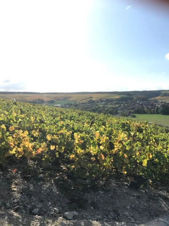 Nuit's Féerique en Champagne, gîte avec spa à Meurville - photo 3 sur 8