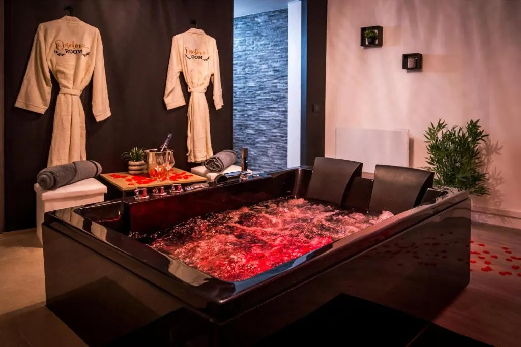 One Love Room - Villa privée avec bain à remous près du Plan d'Eau des Brotteaux (Pont-d'Ain, Ain)