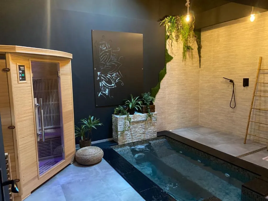 Pasithéa Loft, gîte avec spa à Calais - photo 3 sur 11