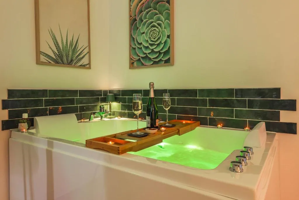 Petite Jungle Balnéo - Appartement avec bain à remous et climatisation (Schweighouse-sur-Moder, Bas-Rhin)