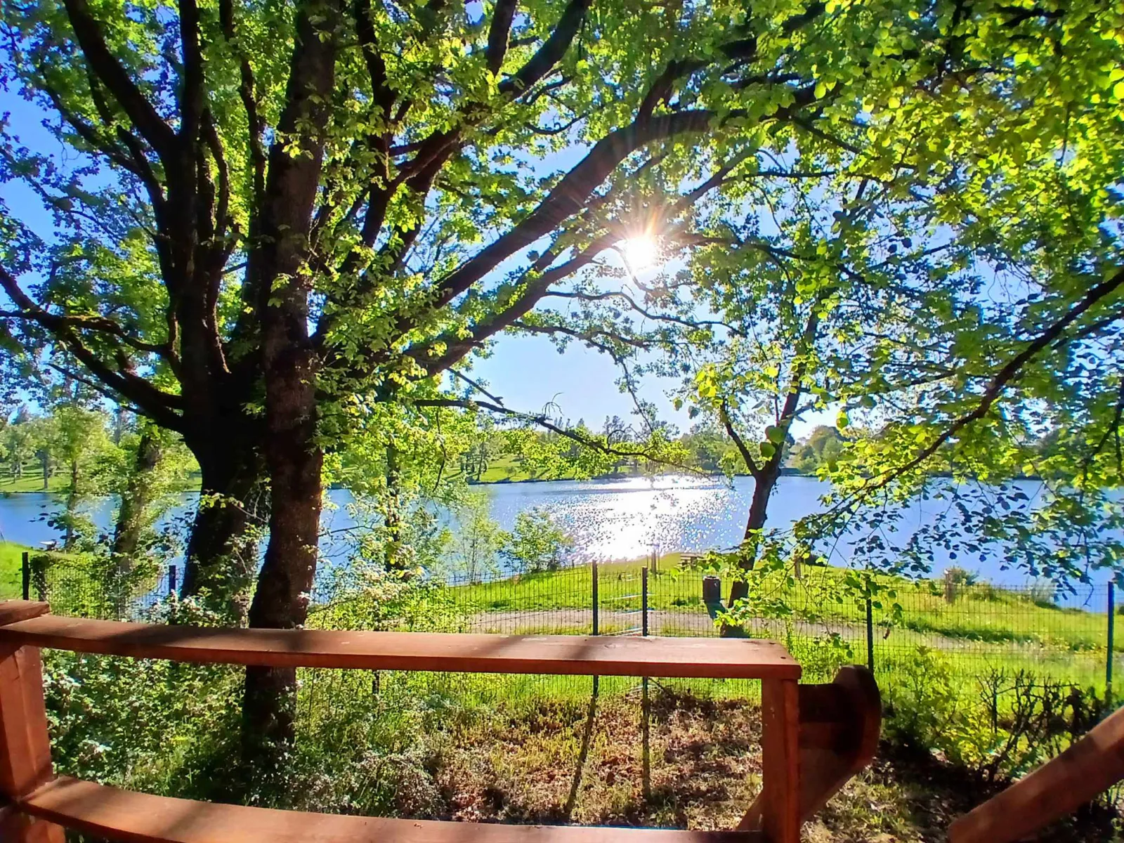 Pilotis du lac avec SPA privatif, cabane à Rabastens - photo 2 sur 8