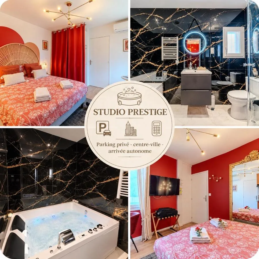 Prestige Jacuzzi Roanne - Appartement climatisé avec parking privé (Roanne, Loire)