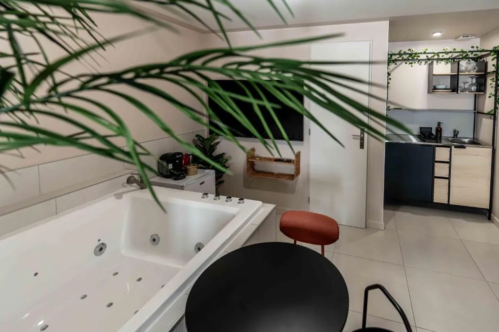 Rêve Tropical Balnéo, gîte avec spa à Blois - photo 2 sur 12